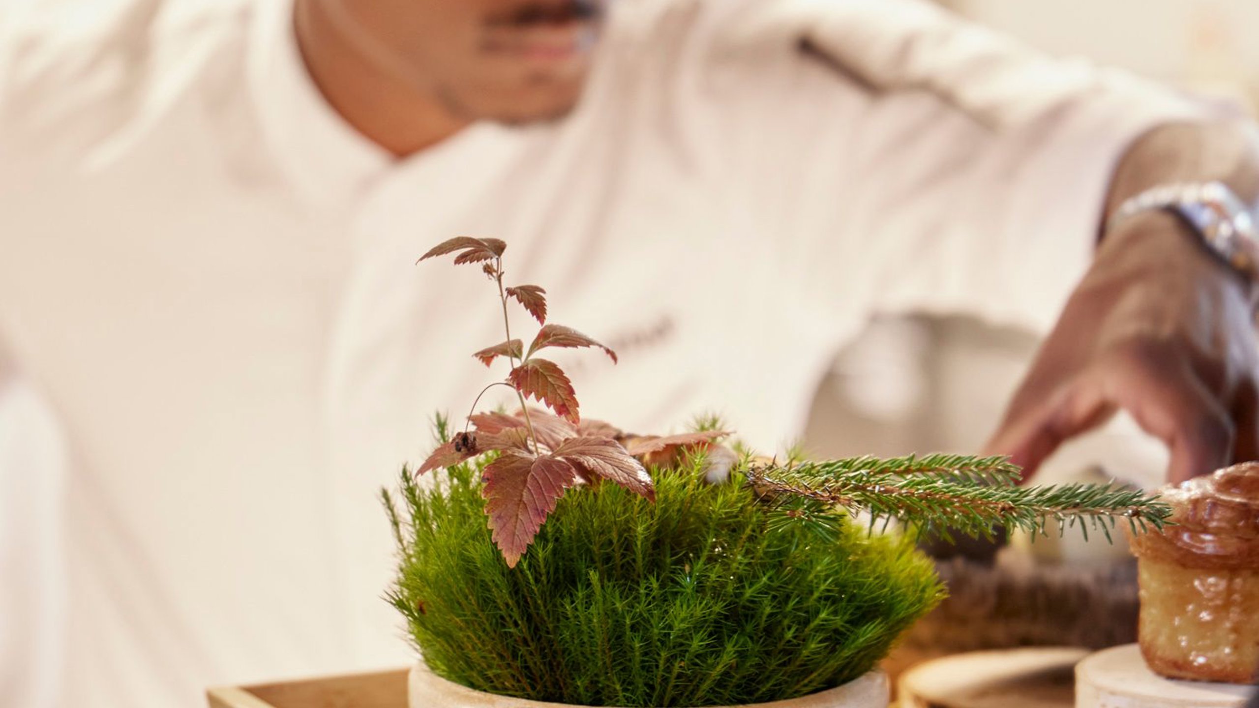 Restaurang Arctic Bath – kombinerar mat och design för kulinarisk resa.
